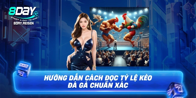 Cá cược đá gà - Hướng Dẫn Đọc Kèo & Mẹo Cược Hiệu Quả 2 Hướng dẫn cách đọc tỷ lệ kèo đá gà chuẩn xác