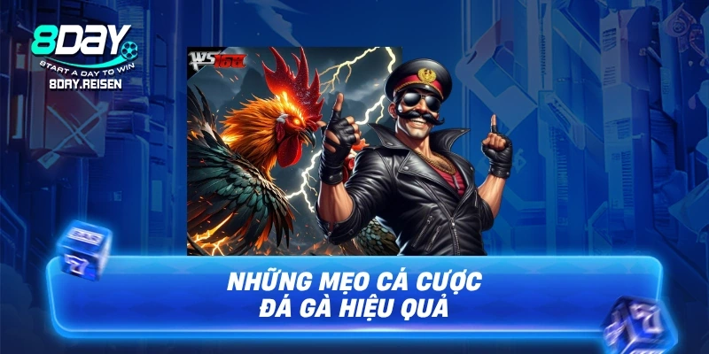 Cá cược đá gà - Hướng Dẫn Đọc Kèo & Mẹo Cược Hiệu Quả 3 Những mẹo cá cược đá gà hiệu quả