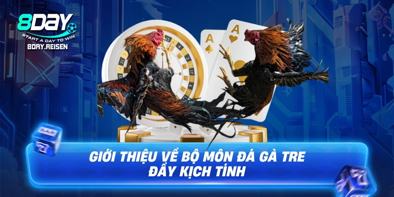 Đá Gà Tre - Bí Kíp Xem Và Chọn Kê Đỉnh Cao 1 Giới thiệu về bộ môn Đá gà tre đầy kịch tính