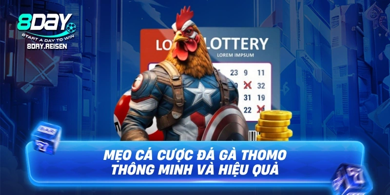 Đá gà Thomo - Đấu Trường Gà Chọi Hợp Pháp & Đẳng Cấp 3 Mẹo cá cược đá gà Thomo thông minh và hiệu quả